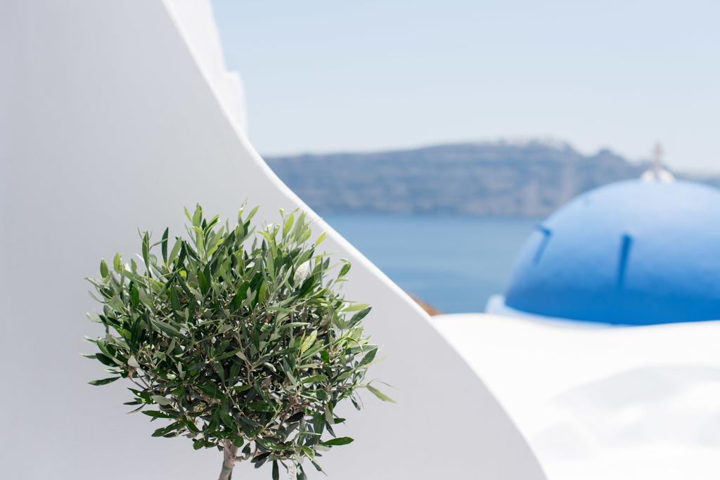 Evmenia Luxury Cave Villa Oia  Luaran gambar